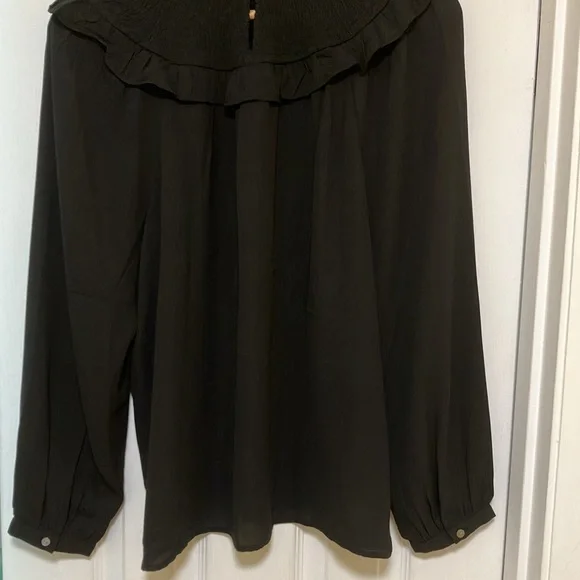 NWT - Ruffle Smocked Yoke Blouse by Ann Taylor Loft (ad photo) - Picture 4 of 5